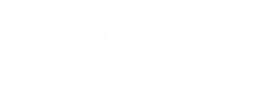 ReviewPro a Shjii Group Brand StayNTouch
