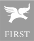 first hotels logo